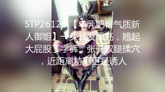 麻豆传媒 ly-027 私房模特约拍变约炮