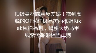 【超美高端??罕见露脸露点】极品Cos爆机少女『喵小吉』开年新作《小吉的快乐野餐》户外放纵美味蜜穴 超清4K原版