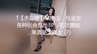 顶级女模私拍！颜值巅峰秀人网绝美人气女神【林星阑】真空肉丝，性感蕾丝透明丁字裤透鲍凸点2