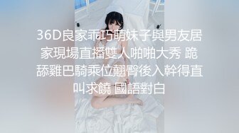 小宝寻花两场 翘臀小美女+性感御姐