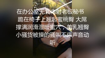 麻豆传媒出品无套系列-南国性爱旅程 火热浪漫的滨海行 套性爱女优吴梦梦 ]高清720P原版首发