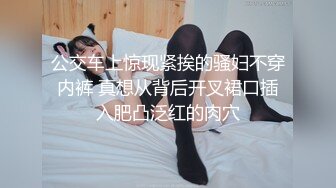 无套后入西安肉臀少妇