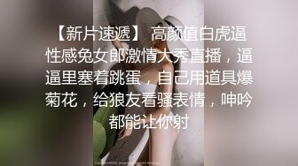 国产CD系列清纯美娇娘猫儿OL御姐开档黑丝慰菊射超多