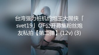 台湾强力桩机约炮王大屌侠「svet19」OF公开募集粉丝炮友私拍【第二弹】(12v) (3)