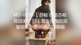 【麻豆传媒】MD-0261 放进去一下下就好-宋南伊