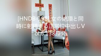 [HNDB-198] 女の絶頂と同時に射精する正常位中出しVol.6 138連発