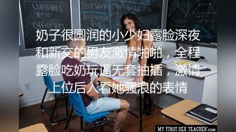 骄傲老婆抗议劳工结果被侵犯了 高木千里