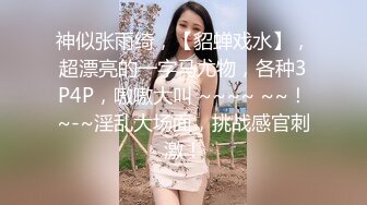 小宝寻花第二场约了个颜值不错甜美斑点裙妹子，口交舔弄抱着大力猛操呻吟娇喘诱人