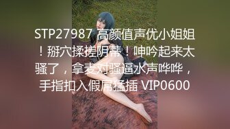 黑丝蝴蝶逼奶子很圆润的极品小少妇，深夜撩骚互动狼友，揉奶玩逼特写展示，道具摩擦