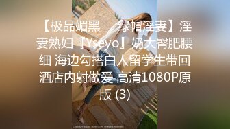 【极品媚黑❤️绿帽淫妻】淫妻熟妇『Yseyo』奶大臀肥腰细 海边勾搭白人留学生带回酒店内射做爱 高清1080P原版 (3)