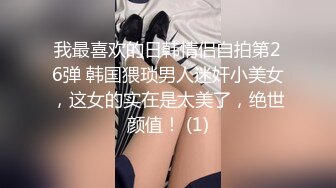 Al&mdash;爱丽森&middot;布里 人妖手淫射精