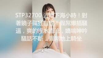  长相文静极品美臀妹子居家激情啪啪，连体开档网袜骑乘猛操大屁股，边操边用震动棒摩擦阴蒂