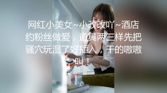 [2DF2] 琳儿双伪娘互相玩弄对方的菊花 基情满满轮流操对方[BT种子]