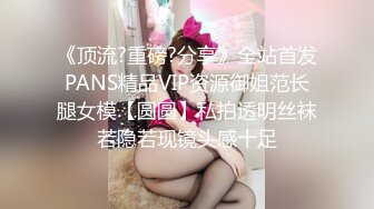 《顶流?重磅?分享》全站首发PANS精品VIP资源御姐范长腿女模【圆圆】私拍透明丝袜若隐若现镜头感十足