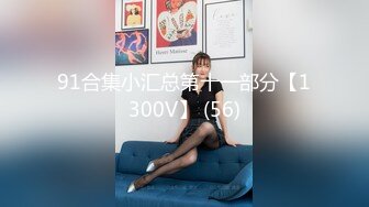 91合集小汇总第十一部分【1300V】 (56)