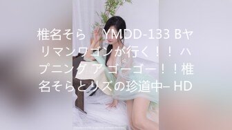 椎名そら ⨯ YMDD-133 Bヤリマンワゴンが行く！！ ハプニング ア ゴーゴー！！椎名そらとリズの珍道中– HD