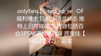 onlyfans】⭐red_ro_se⭐OF福利博主 目前半隐退状态 推特上日常碎碎念 内容包括百合3PSM调教等内容 质量佳【NO.2】 (2) - 副本