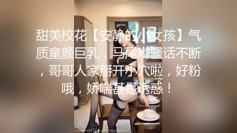 商场女厕全景偷拍黑裙高跟少妇的丰满大肥鲍