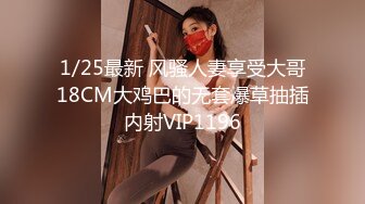 【重磅泄密✨onlyfans私拍】☀️netto5netto☀️▶▶肥仔绿帽奴妻子的放养日常 巨乳颜值身材双在线 Cosplay的风格多样《VO.10》