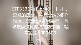 国产麻豆AV MD MD0063 女優面試員 袁庭妮