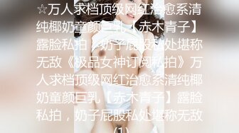 【极品爆Z资源❤️顶级唯美女神】用神仙的画笔重塑女神的真容 蜜桃臀+豪乳+美穴+啪啪+粉穴+性感身姿 高清720P版