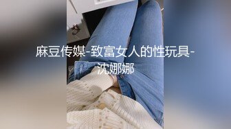 麻豆传媒-致富女人的性玩具-沈娜娜