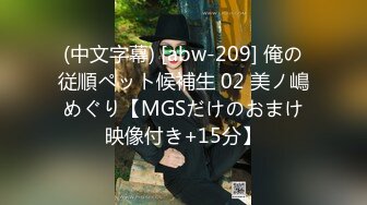 (中文字幕) [abw-209] 俺の従順ペット候補生 02 美ノ嶋めぐり【MGSだけのおまけ映像付き+15分】